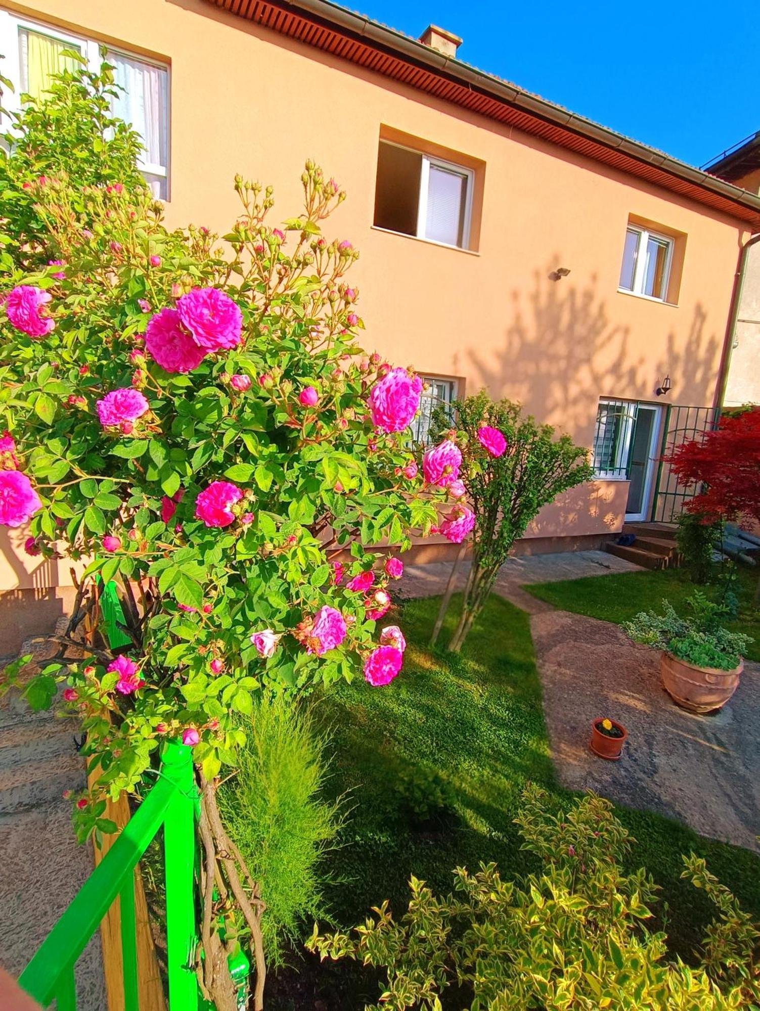 Garden Free Parking Appartement SJJ Buitenkant foto
