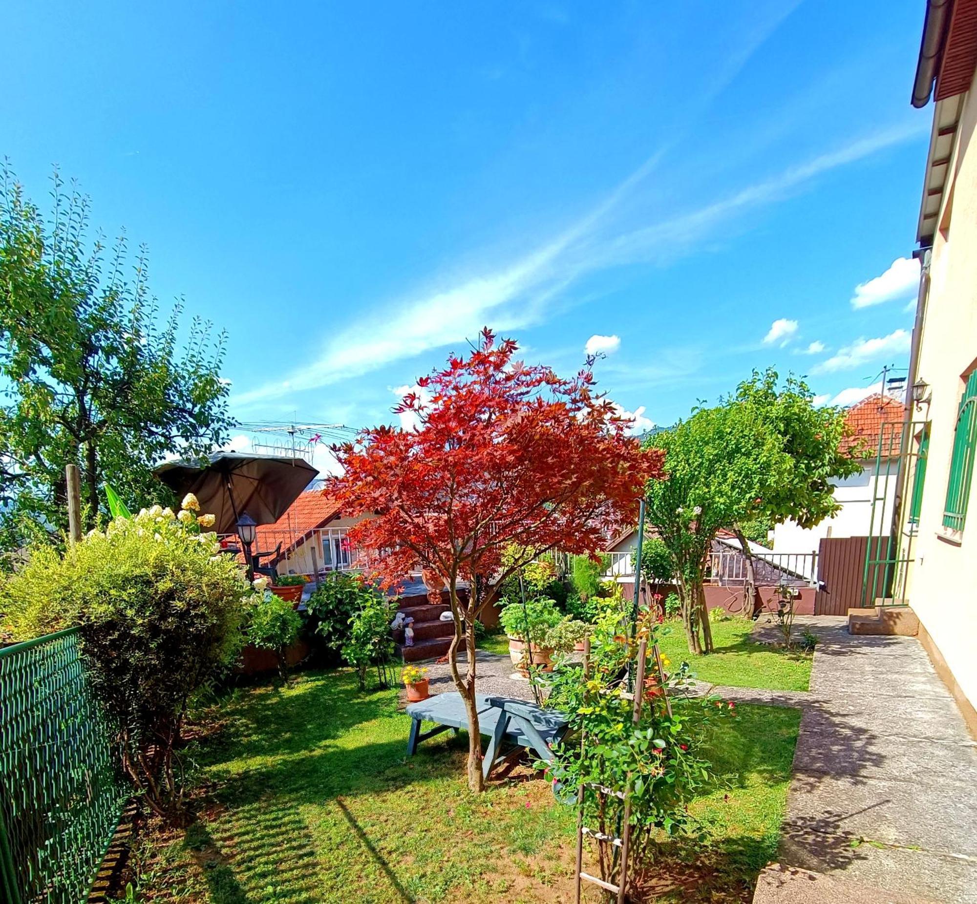 Garden Free Parking Appartement SJJ Kamer foto