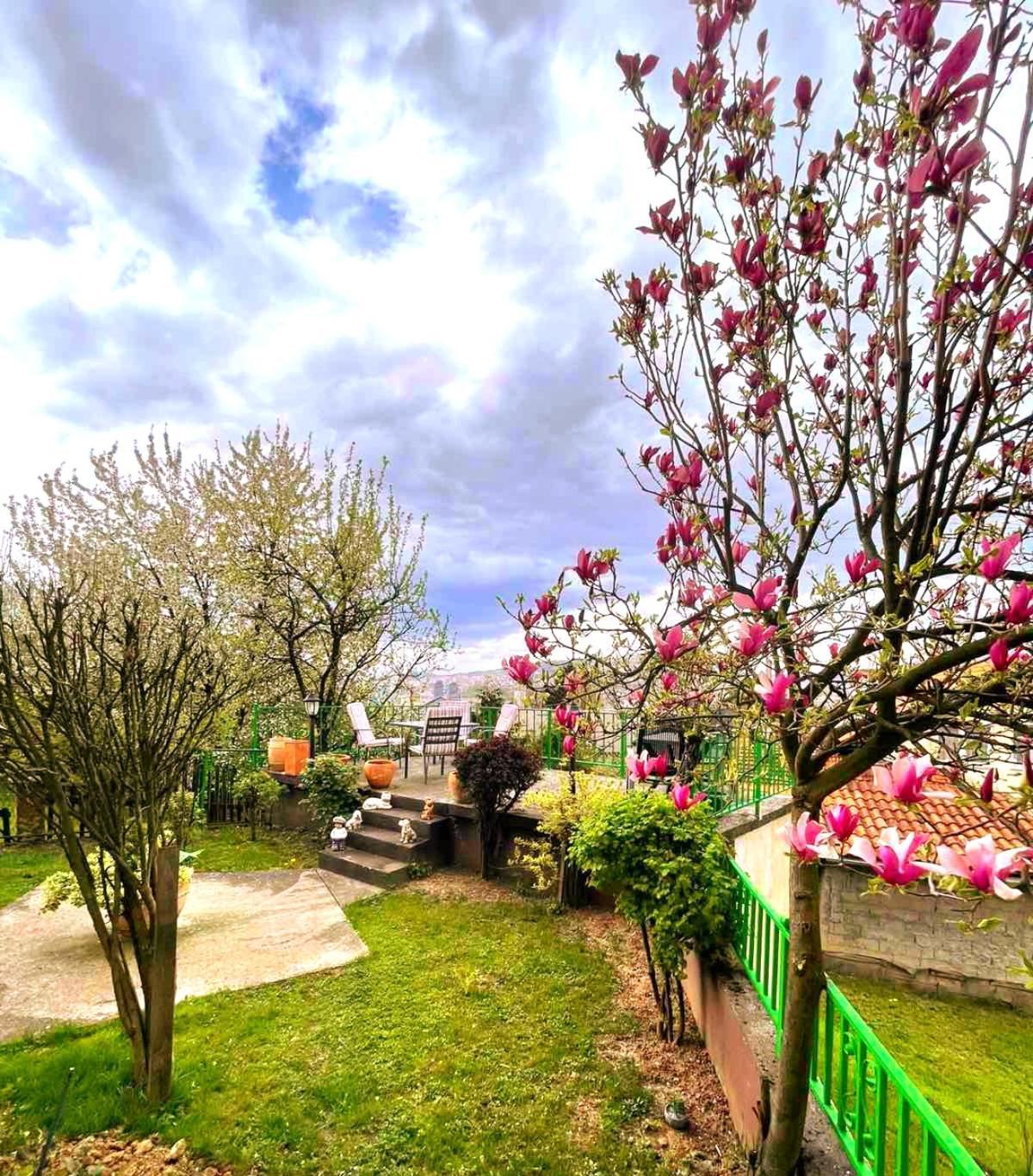 Garden Free Parking Appartement SJJ Buitenkant foto
